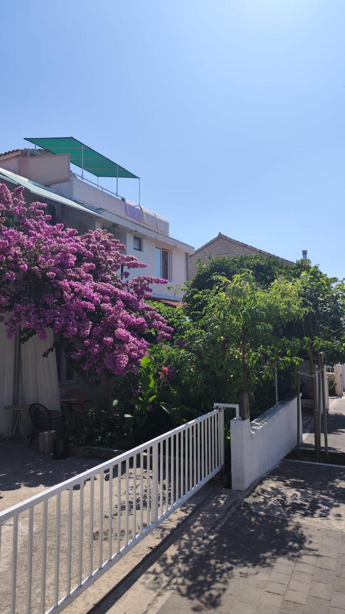 Apartments Suri Vodice Kültér fotó
